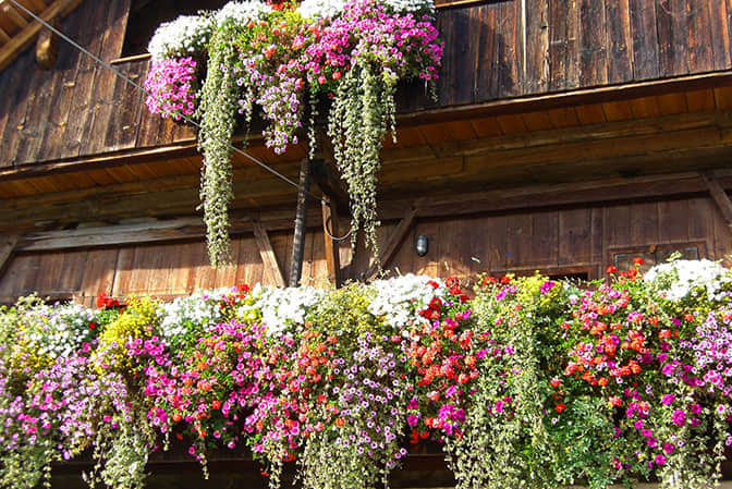 旅游小鎮(zhèn)景觀提升民宿客棧窗臺(tái)美化
