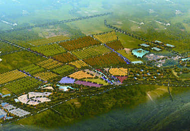 高效農(nóng)業(yè)型美麗鄉(xiāng)村