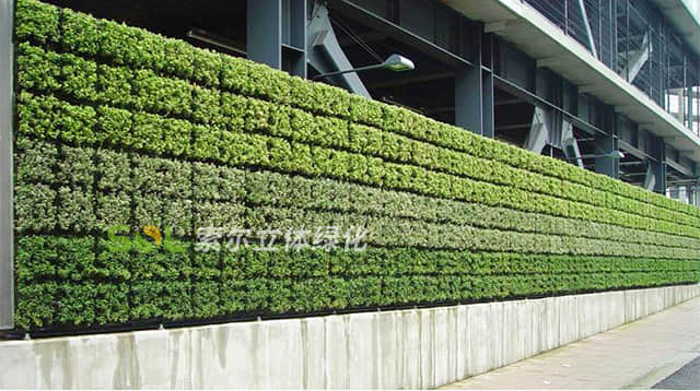 植物墻001.jpg