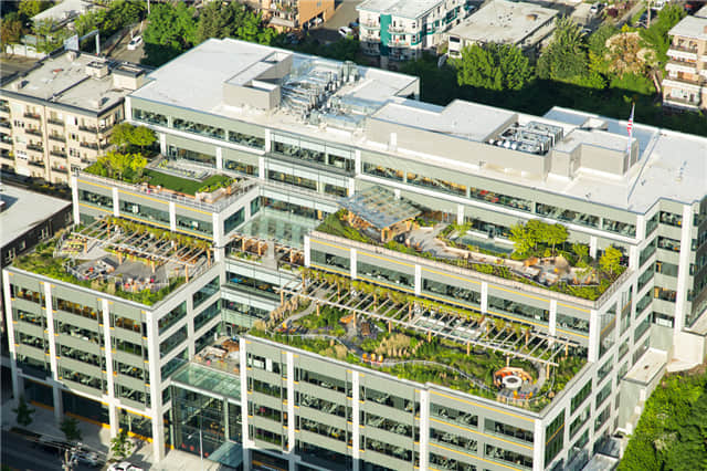 Facebook西雅圖分部屋頂花園 (2).jpg