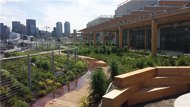 Facebook西雅圖分部屋頂花園 (6).jpg