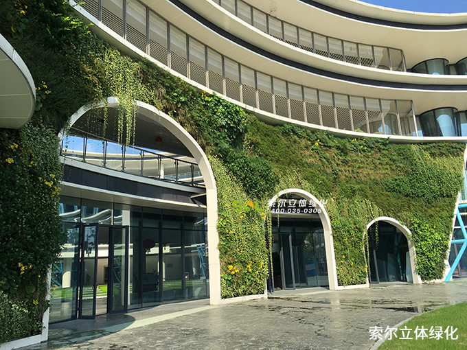 05未來科技城小學(xué)垂直綠化項目.jpg