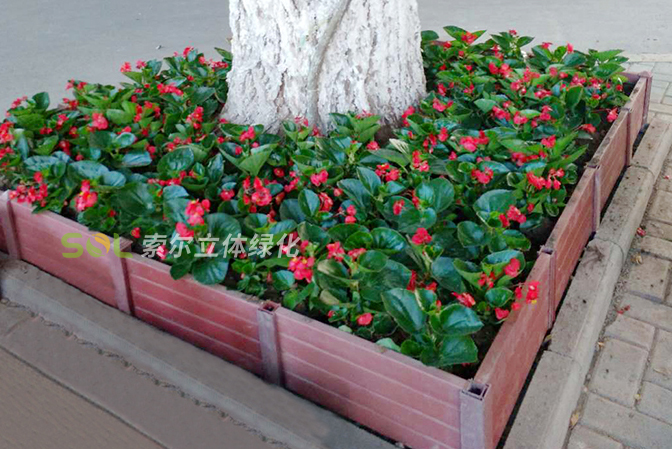 行道樹綠化公園景點(diǎn)景觀提升3