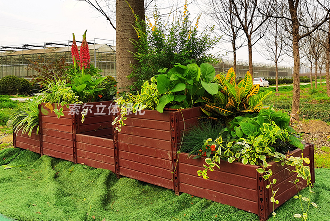 行道樹綠化公園景點(diǎn)景觀提升1