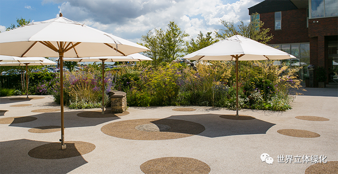 27索爾茲伯里醫(yī)院康沃爾公爵脊柱治療中心花園01 (1).png