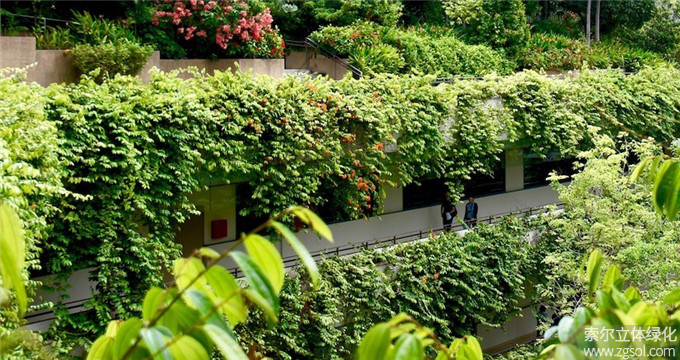 26連廊美化新加坡邱德拔醫(yī)院Khoo Teck Puat Hospital (10).jpg