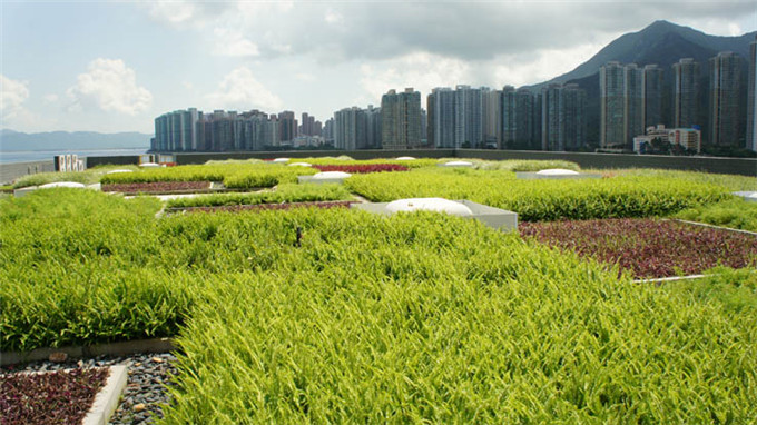 04屋頂花園 (4).jpg