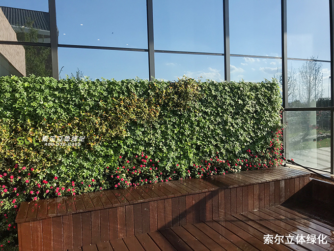 06浙江杭州余杭區(qū)中泰街道人大附中5012植物墻項目 (1).jpg