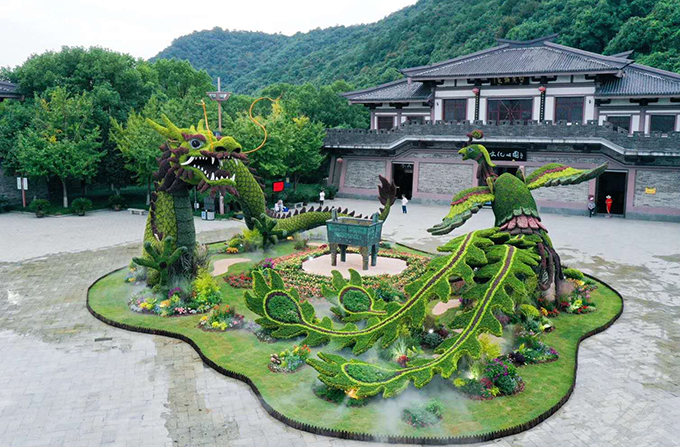 2020年9月浙江杭州富陽東吳文化公園國(guó)慶綠雕項(xiàng)目“龍飛鳳舞鼎盛世” (8).jpg