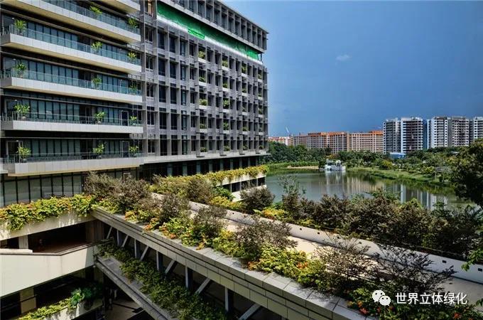 13新加坡邱德拔醫(yī)院Khoo Teck Puat Hospital (3).jpg