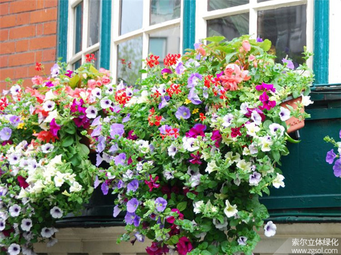 27國(guó)外窗臺(tái)美化素材 (2).jpg