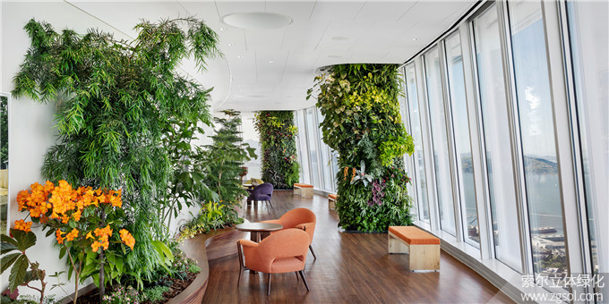 32室內(nèi)植物裝飾 美國(guó)舊金山Salesforce Tower大樓Ohana Floor屋頂公園 (1).jpg