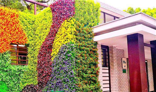 公廁立體綠化 (2).jpg