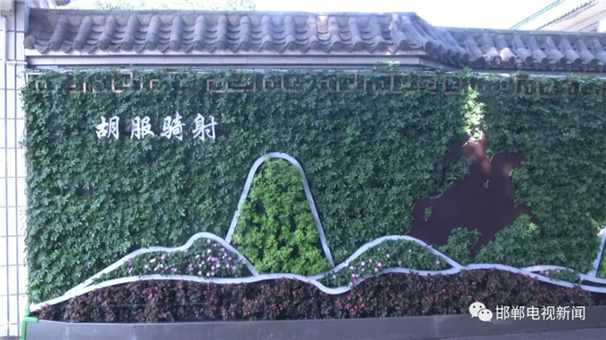 邯鄲電視新聞：我市首例“墻上花園”亮相叢臺(tái)公園 (4).jpg