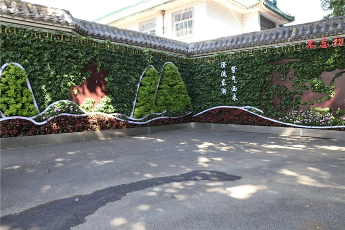 邯鄲首個“墻上花園”亮相，不但好看，還能降噪、除塵！ (5).jpg
