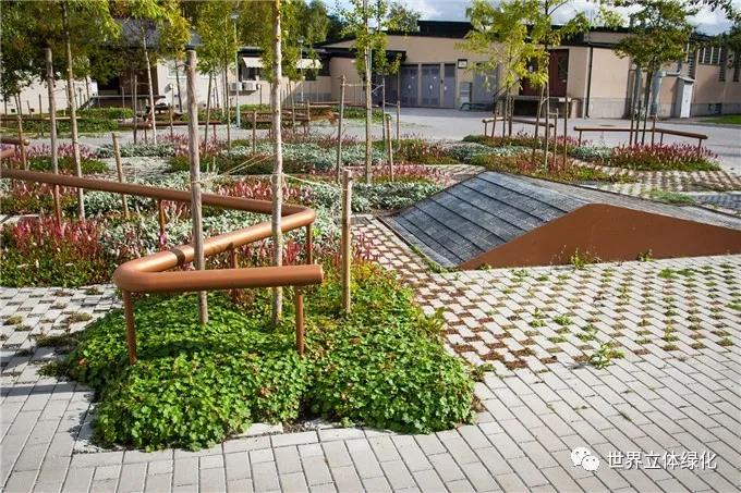 29瑞典Karsudden醫(yī)院花園 (4).jpg