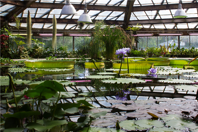 生態(tài)餐廳溫室花園 (15).jpg