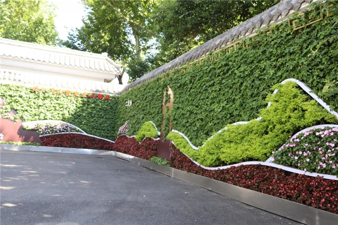 邯鄲首個“墻上花園”亮相，不但好看，還能降噪、除塵！ (4).jpg