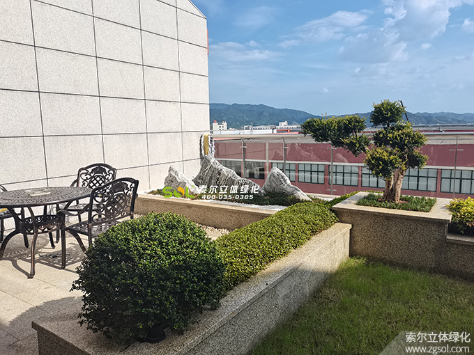 05 2019年7月浙江金華巨宏工貿(mào)辦公大樓屋頂花園項(xiàng)目.jpg