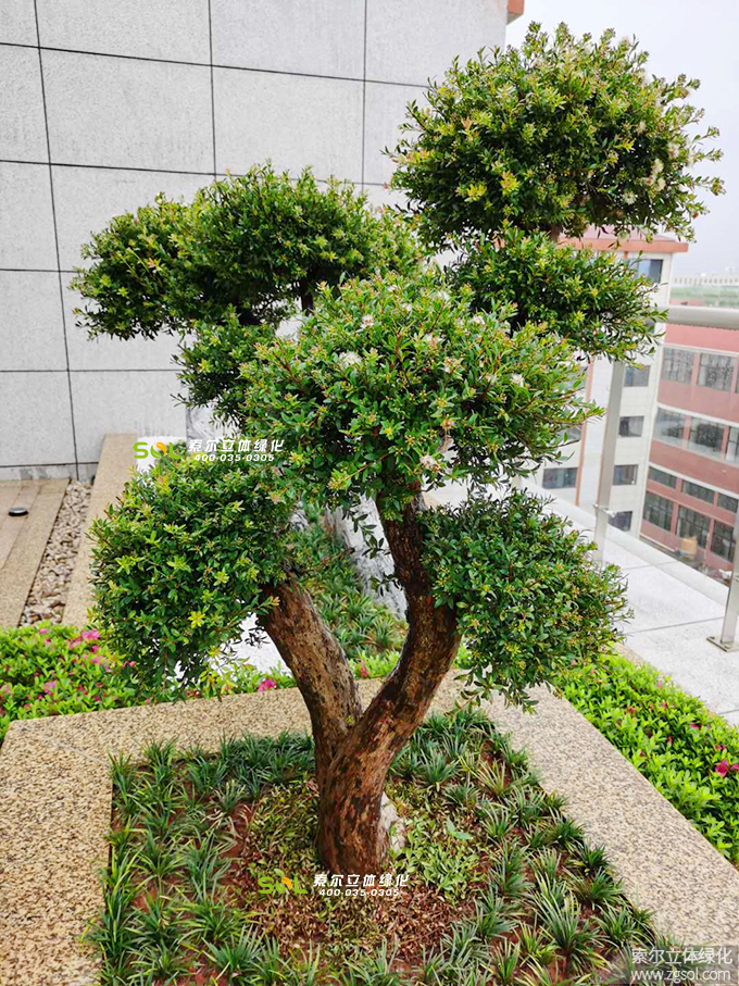 07 2019年7月浙江金華巨宏工貿(mào)辦公大樓屋頂花園項(xiàng)目.jpg