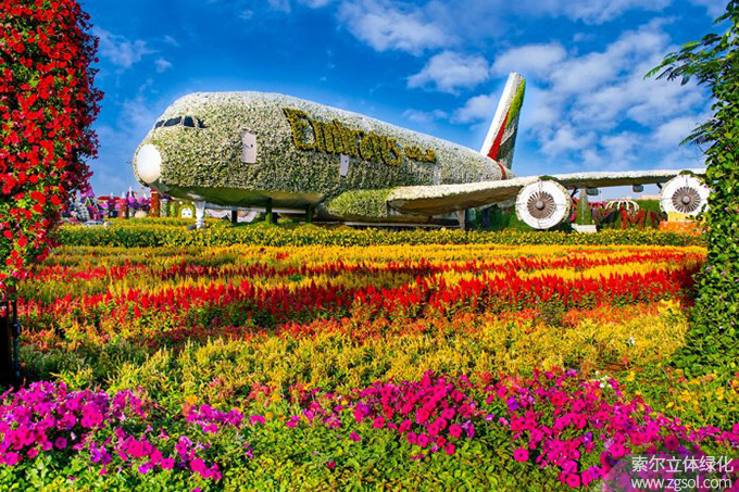 05迪拜奇跡花海 景區(qū).jpg