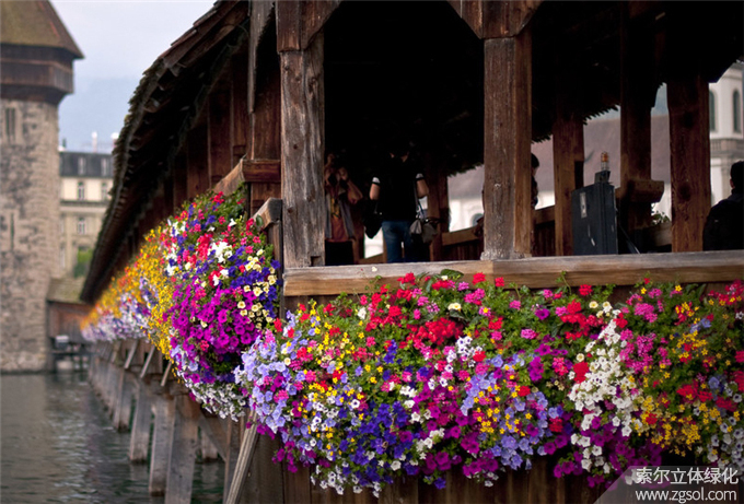 31瑞士盧塞恩小鎮(zhèn)護(hù)欄綠化 (12).jpg