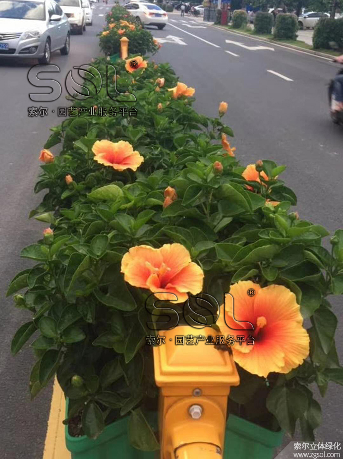 28護(hù)欄綠化頂置式.jpg
