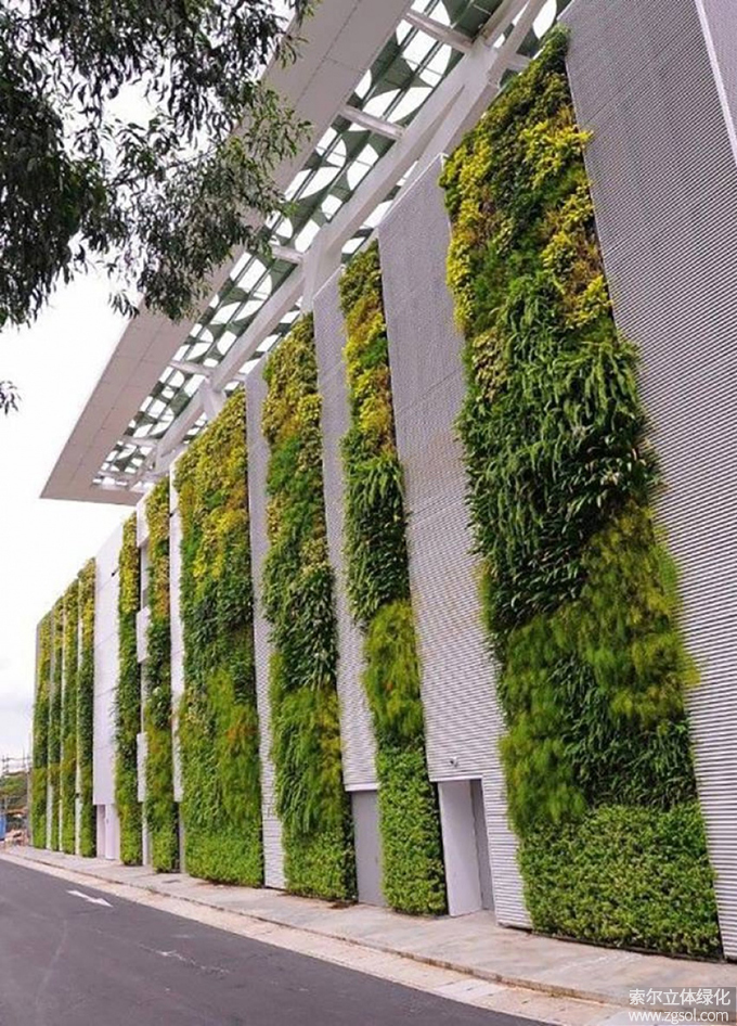37垂直綠化.jpg