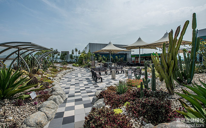 32新加坡樟宜機(jī)場(chǎng)屋頂花園仙人掌花園02.jpg