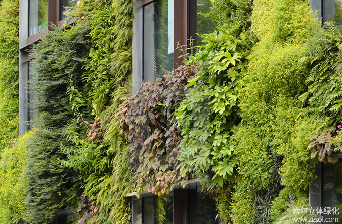 17植物墻 (1).jpg