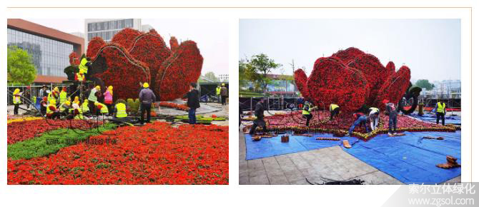 27山東青島膠州市民文化中心五一立體花壇“幸福花開(kāi)” (14).jpg