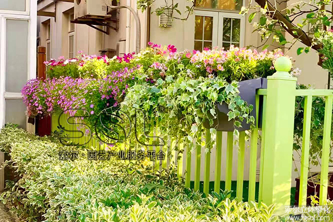 19上海別墅護(hù)欄綠化 (5).jpg