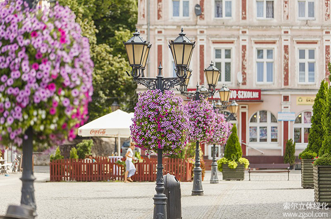 33廣場(chǎng)燈桿綠化 (3).jpg