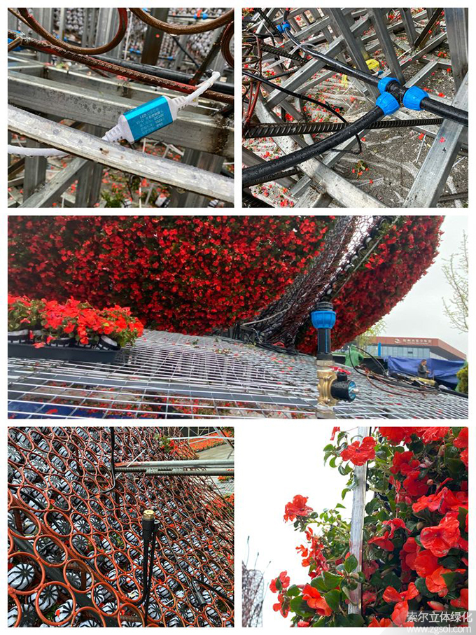 30山東青島膠州市民文化中心五一立體花壇“幸?；ㄩ_(kāi)”  (13).jpg