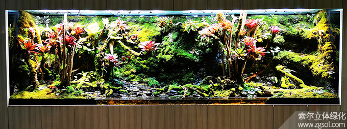 17新加坡樟宜機(jī)場(chǎng)03 (2).jpg