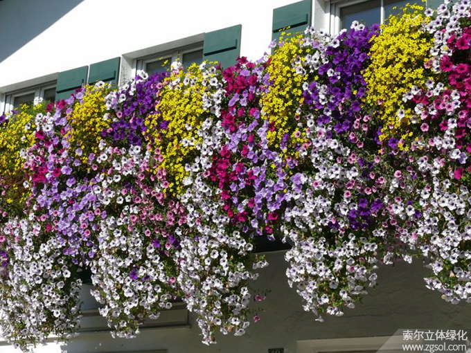 41陽(yáng)臺(tái)美化 (96).jpg