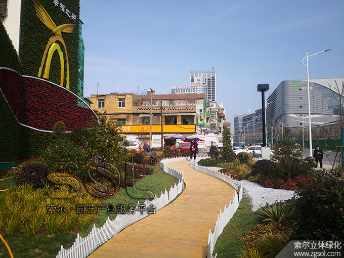 11 2021年1月安徽宿州立體綠化項(xiàng)目 (8).jpg