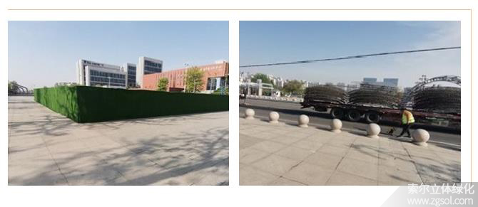 22山東青島膠州市民文化中心五一立體花壇“幸?；ㄩ_(kāi)” (45).jpg