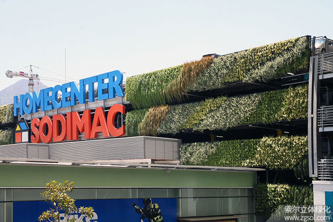 04車庫(kù)植物墻 (10).jpg