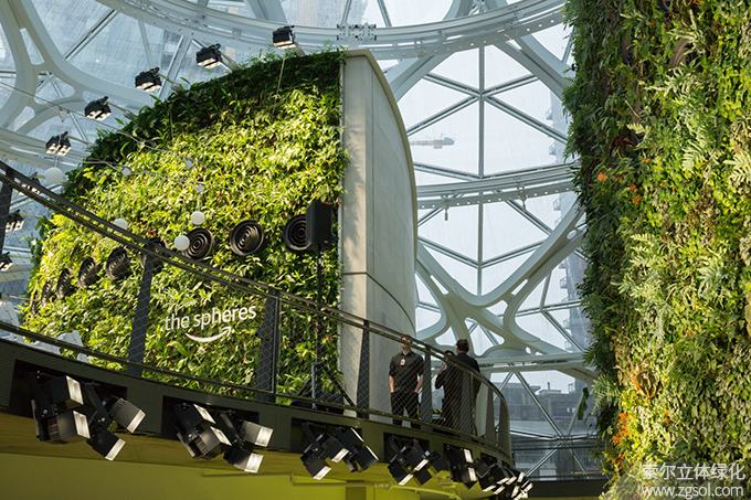 24室內(nèi)植物墻 (12).jpg