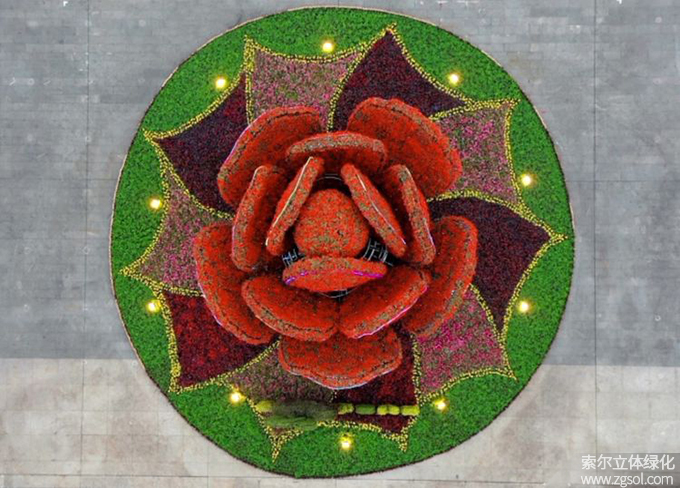 04山東青島膠州市民文化中心五一立體花壇“幸?；ㄩ_(kāi)”  (2).jpg