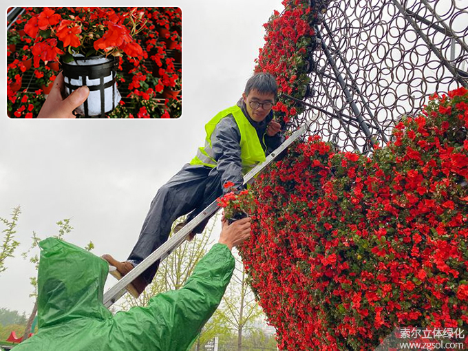 25山東青島膠州市民文化中心五一立體花壇“幸?；ㄩ_(kāi)”  (24).jpg