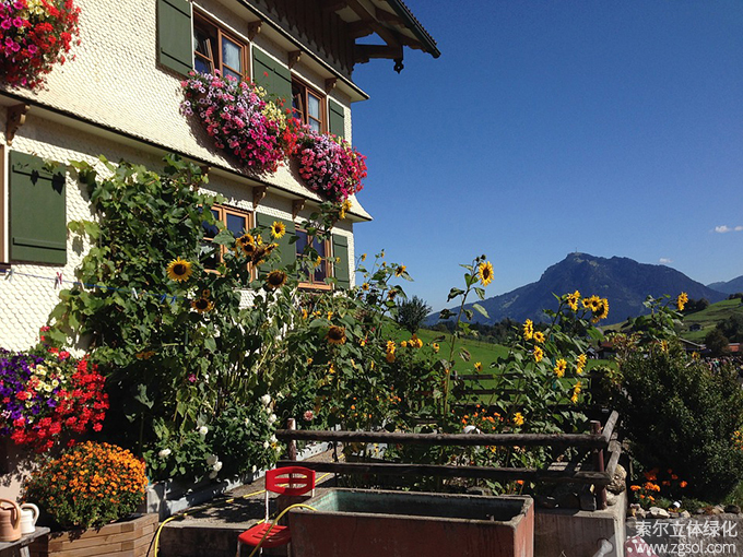 02窗臺美化 (14).jpg