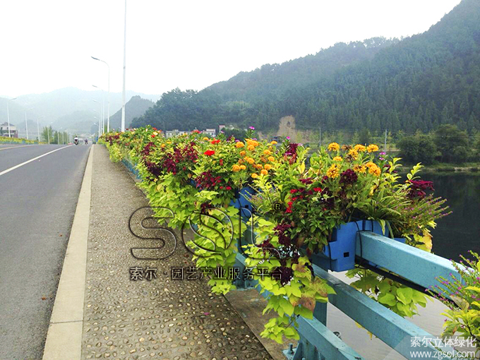 17護(hù)欄綠化 (2).jpg