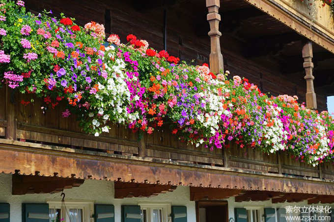 42陽(yáng)臺(tái)美化 (86).jpg