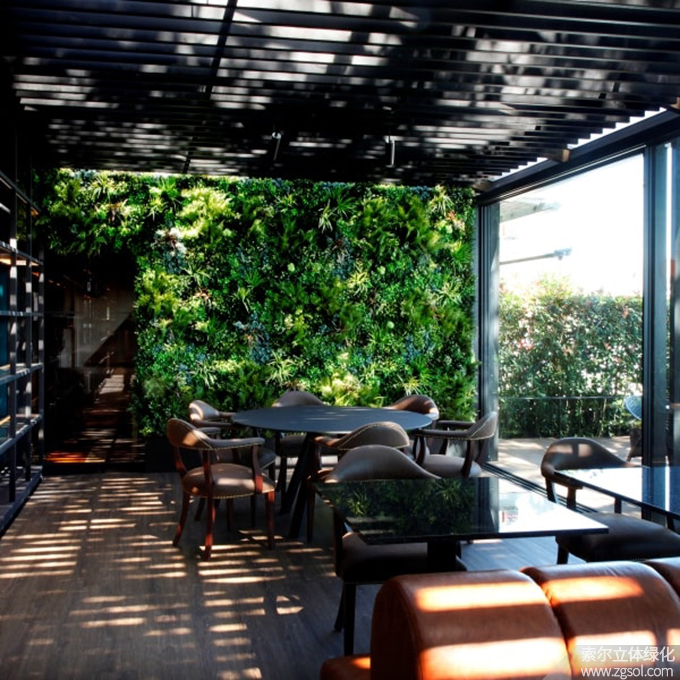 29室內(nèi)植物墻 (8).jpg
