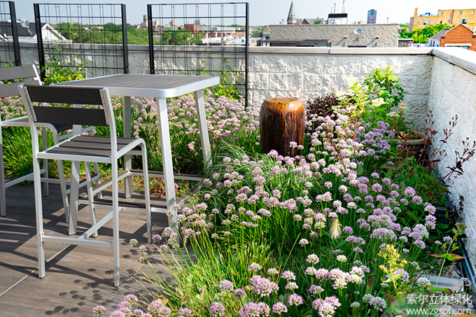 18屋頂花園 (52).jpg