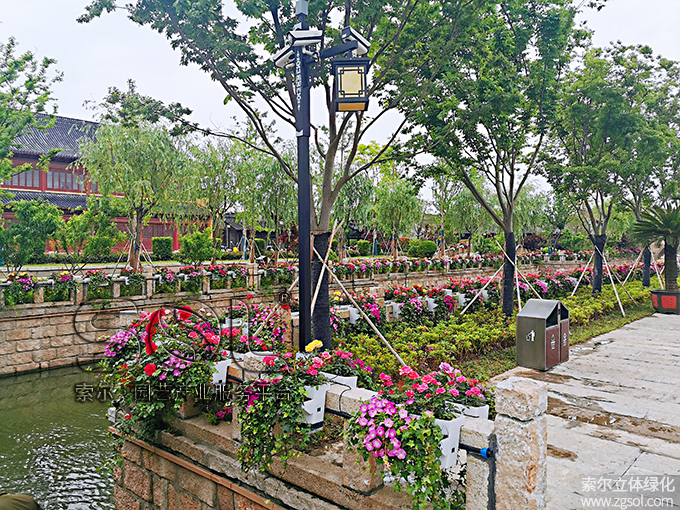 30江蘇東臺西溪古鎮(zhèn)景區(qū)五一景觀提升 (54)河岸護(hù)欄綠化.jpg